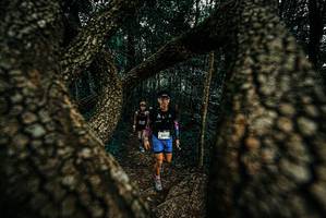 BIB: 
                            <button type="button" onclick="openModal(25675081)" class="btn btn-primary btn-sm float-right btn-popup" data-toggle="modal" data-target=".modal-high-quality">
                        <i class="fas fa-shopping-cart"></i> Add to Cart
                    </button>
                                            <button type="button" onclick="isThisMe(25675081, true)" class="btn btn-success btn-sm float-right btn-popup btn-isme hidden" data-toggle="tooltip" data-placement="bottom" title="นี่คือรูปของคุณใช่ไหม คลิกที่นี่เพื่อเอาเข้าอัลบั้ม">
                        <i class="fas fa-plus"></i> Add to album
                    </button>
                    <button type="button" onclick="isThisMe(25675081, false)" class="btn btn-warning btn-sm float-right btn-popup btn-isnotme hidden">
                        <i class="fas fa-ban"></i> Remove from album
                    </button>